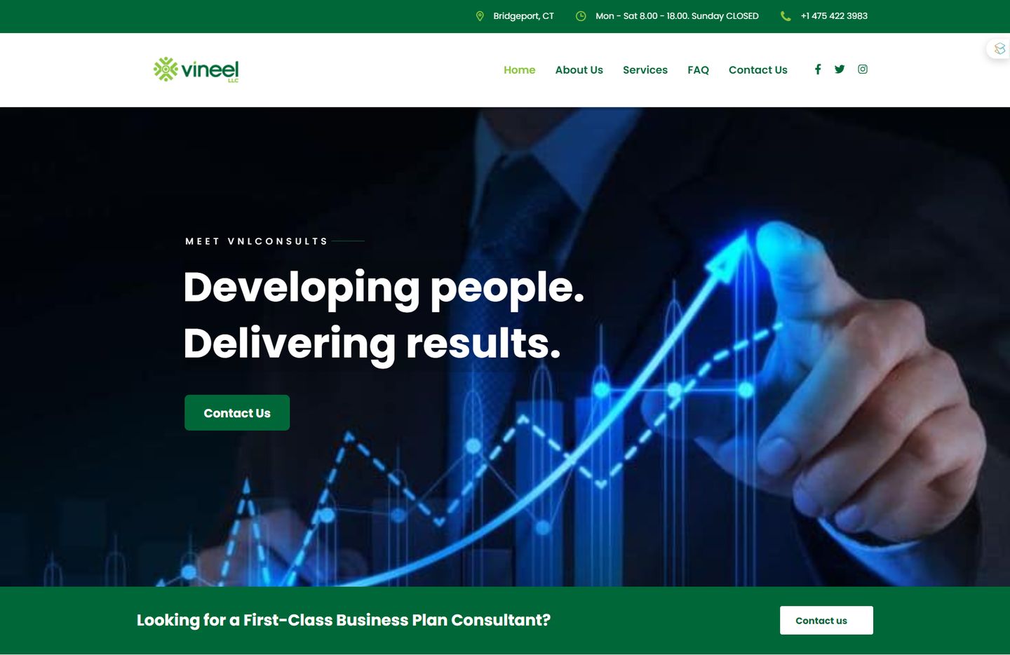 VNL Consults Homepage page shown in a desktop frame